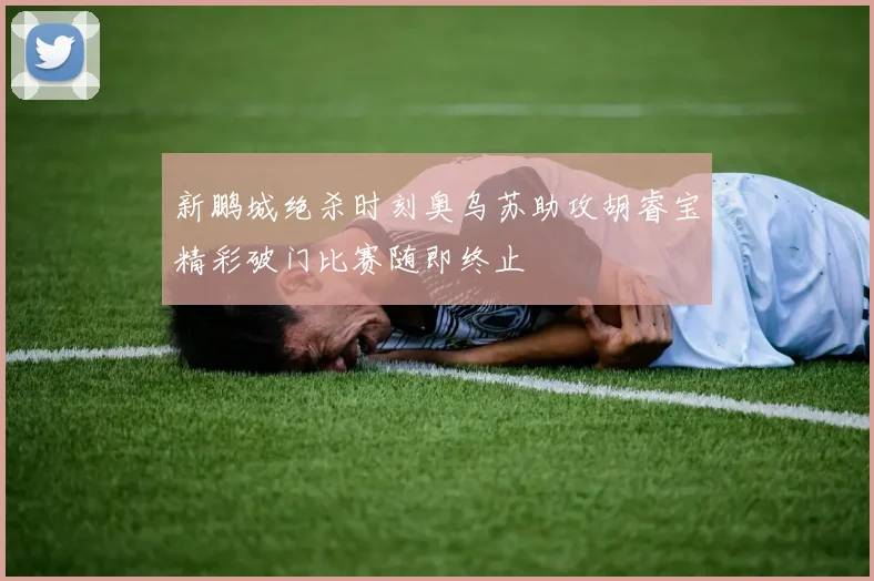 新鹏城绝杀时刻奥乌苏助攻胡睿宝精彩破门比赛随即终止